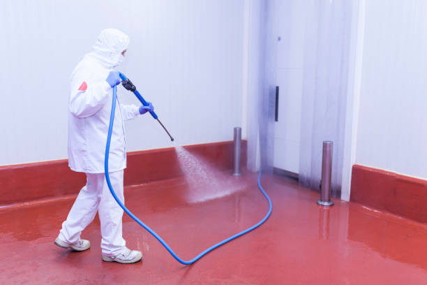 Best Building Exterior Pressure Washing in Black Jack, MO